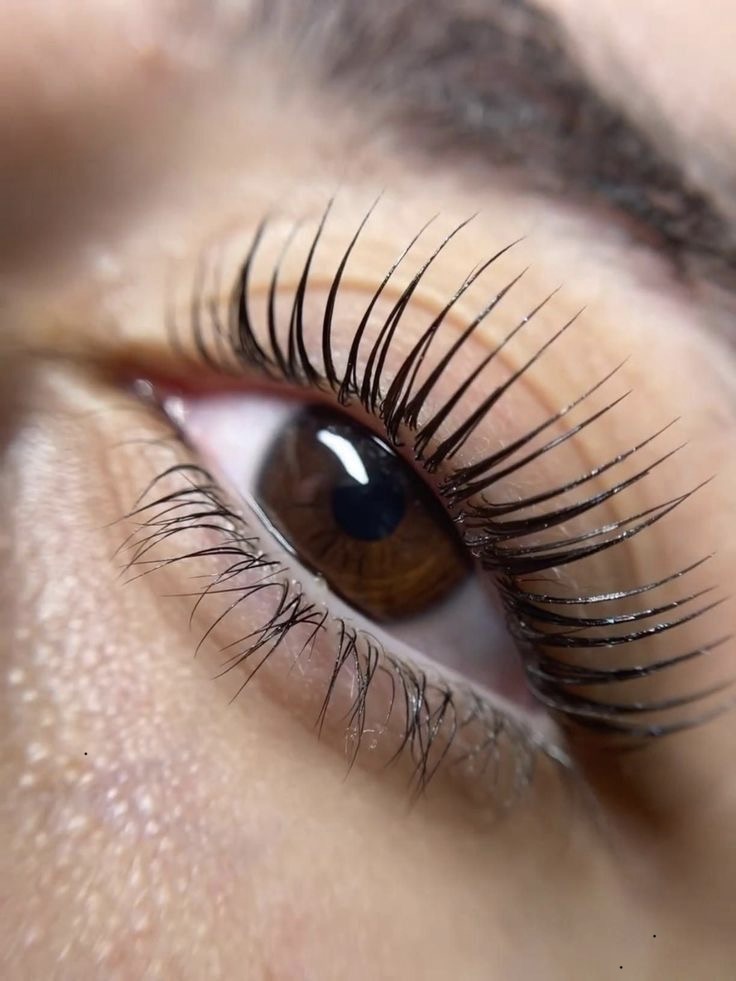 Lash Lifting tradicional y coreano